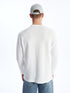 LC Waikiki Crew Neck Long Sleeve Men's T-shirt